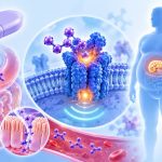 Illustration of Innovent Biologics’ IBI3042, a once-weekly oral GLP-1 receptor agonist, showing oral absorption, GLP-1 receptor activation and potential effects on weight loss, blood glucose and appetite.