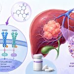 HUTCHMED fanregratinib HMPL-453 for FGFR2 fusion-positive intrahepatic cholangiocarcinoma
