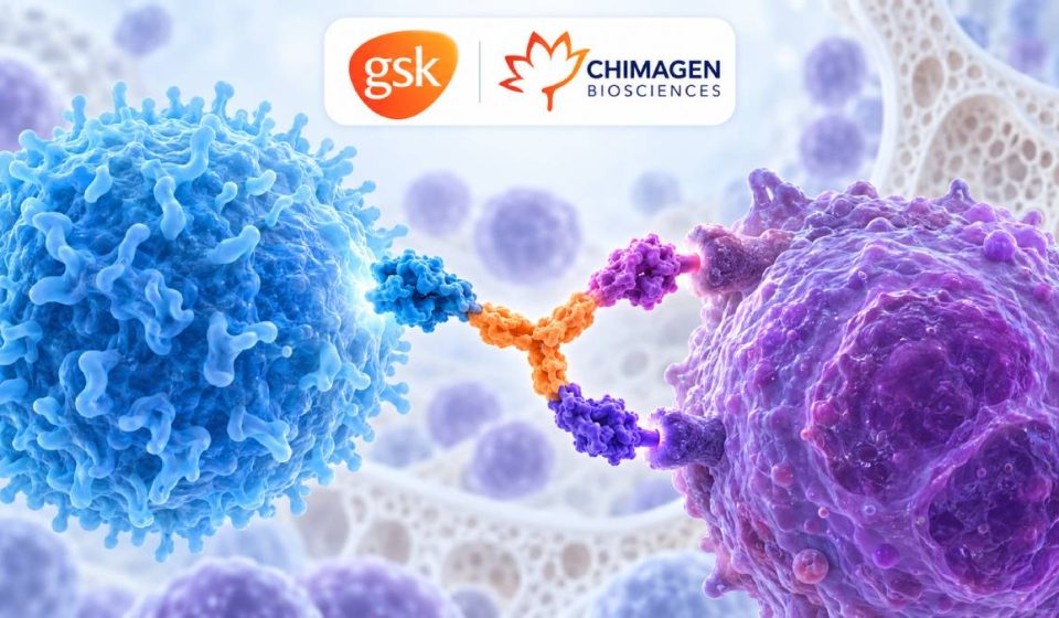 Illustration of a trispecific T-cell engager connecting a blue T cell to a purple multiple myeloma cell, with GSK and Chimagen Biosciences logos.